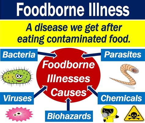 Don't Let Food Poisoning Ruin Your Day: Recognizing the Signs of Foodborne Illness